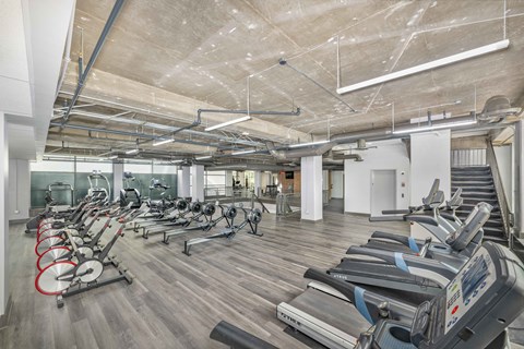 the gym is equipped with cardio equipment and weights